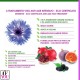 TRATTAMENTO VISO ANTIAGE - BIOCLARINE