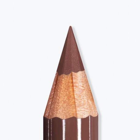 ARTIST LIPS