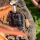 LPDO Hash Intense 100ML EDPI